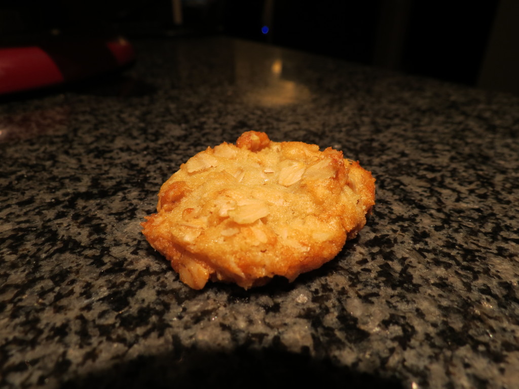 Finished ANZAC biscuit